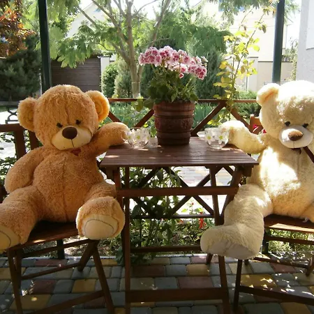 Butterfly Wing Guest house 4*