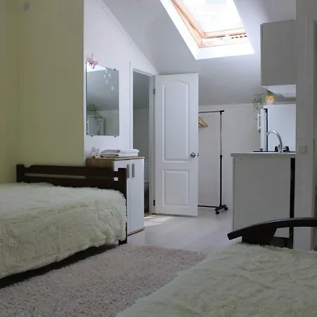 Butterfly Wing Guest house Odesa