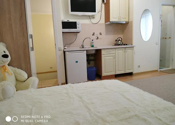 Butterfly Wing 4* Odesa