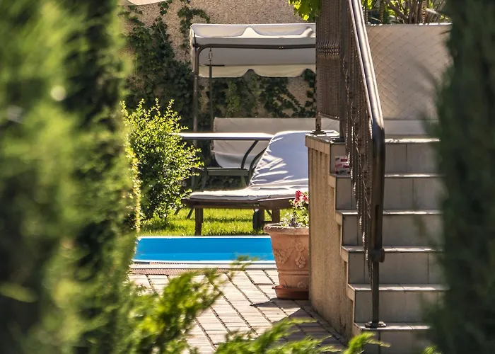 Butterfly Wing Odesa