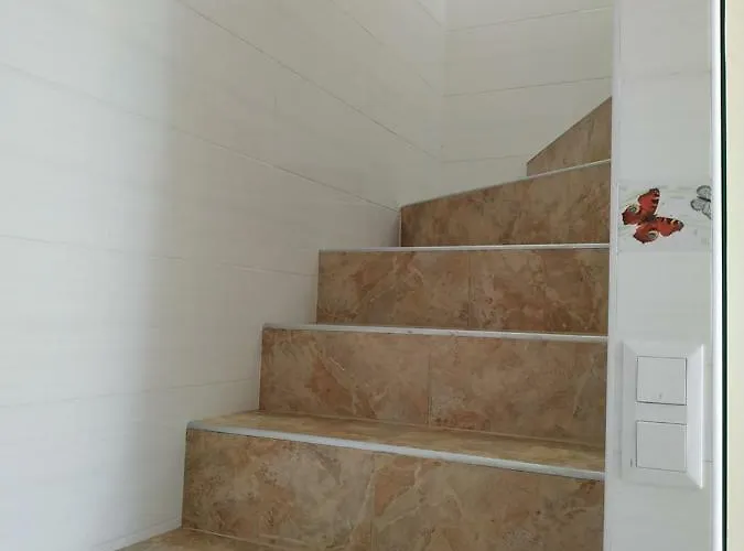 Butterfly Wing Odesa