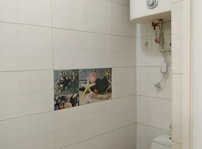 Butterfly Wing Odesa