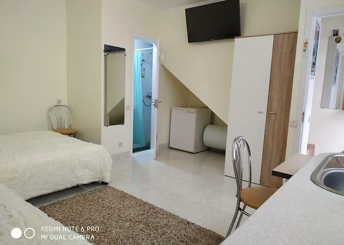 Butterfly Wing Odesa