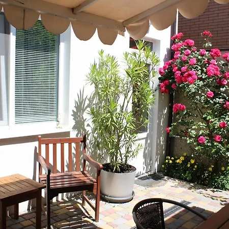 Butterfly Wing 4* Odessa