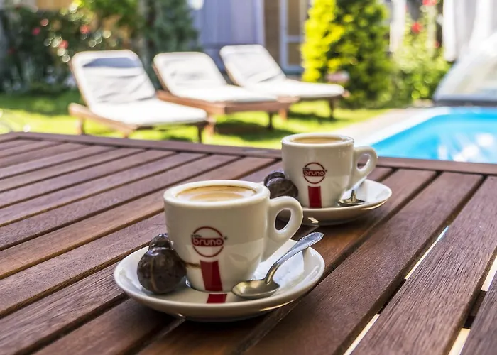 Konukevi Butterfly Wing