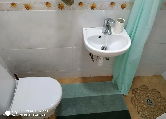 Butterfly Wing 4* Odessa