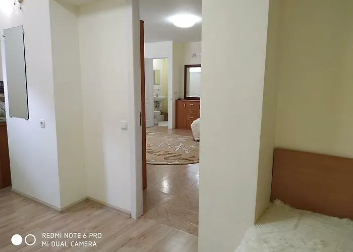 Butterfly Wing 4* Odessa